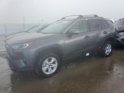 Toyota rav4 xle Vehiculos salvage en venta: 2021 Toyota Rav4 XLE