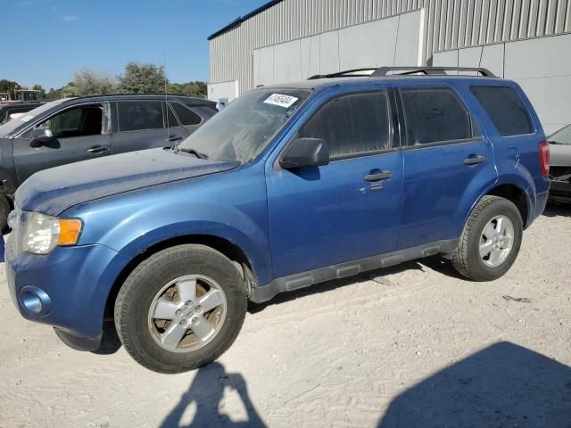 2010 Ford Escape XLT