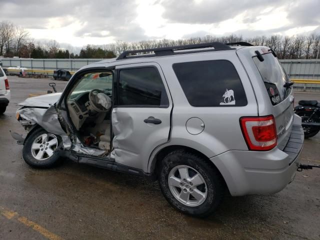 2008 Ford Escape XLT