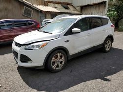 Ford Escape SE salvage cars for sale: 2016 Ford Escape SE