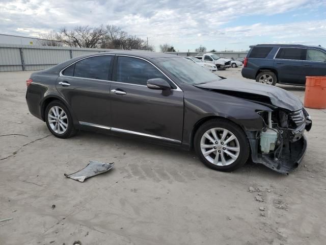 2010 Lexus ES 350