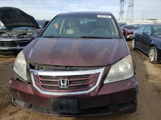 2010 Honda Odyssey EXL