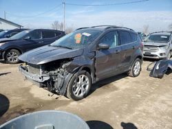 Salvage cars for sale from Copart Dyer, IN: 2013 Ford Escape SE