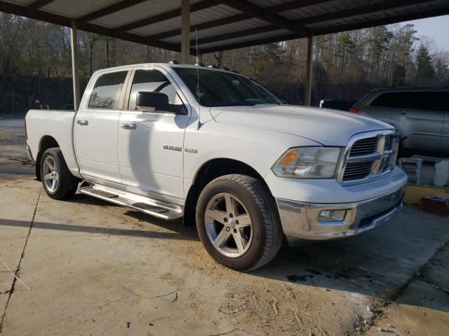 2010 Dodge RAM 1500