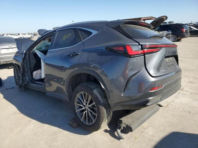 2022 Lexus NX 350