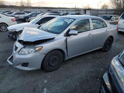 Salvage cars for sale from Copart Arlington, WA: 2010 Toyota Corolla Base