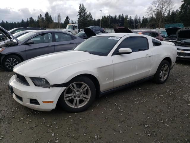 2010 Ford Mustang