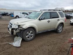 Ford Vehiculos salvage en venta: 2010 Ford Escape XLT