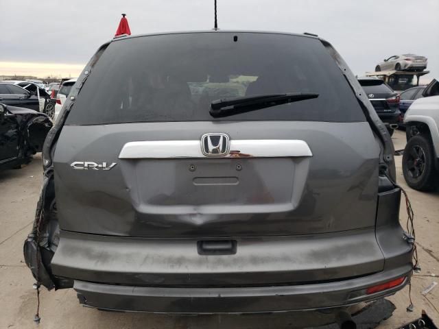 2010 Honda CR-V EXL