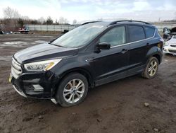 Salvage cars for sale from Copart Columbia Station, OH: 2017 Ford Escape SE