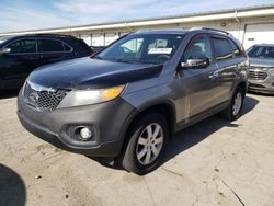 2011 KIA Sorento Base for sale in Louisville, KY