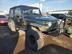 2002 Jeep Wrangler / TJ Sahara