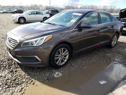 2016 Hyundai Sonata SE en venta en Louisville, KY