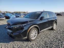 2023 Honda CR-V EXL en venta en Ham Lake, MN