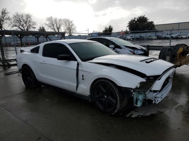 2010 Ford Mustang Shelby GT500