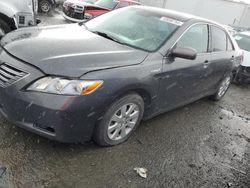 2007 Toyota Camry Hybrid for sale in Vallejo, CA
