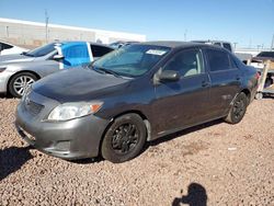 2010 Toyota Corolla Base for sale in Phoenix, AZ