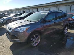 2014 Ford Escape Titanium for sale in Louisville, KY