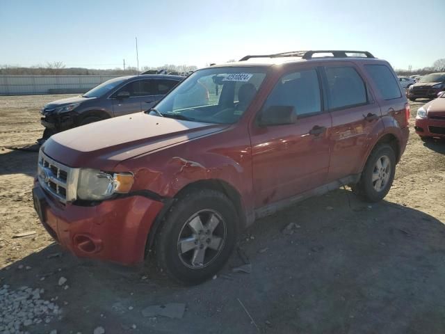 2010 Ford Escape XLT