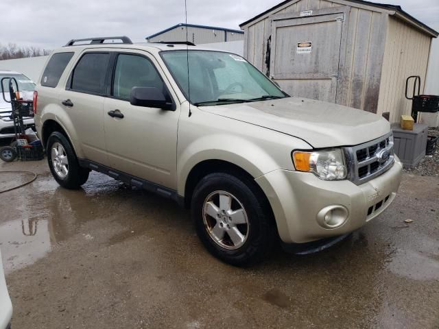 2012 Ford Escape XLT