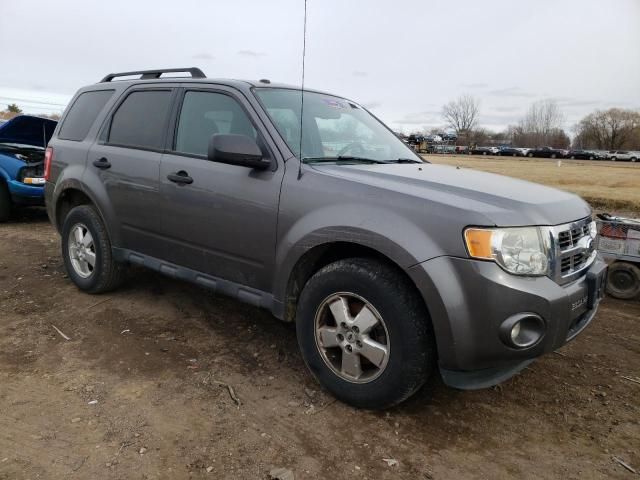 2011 Ford Escape XLT