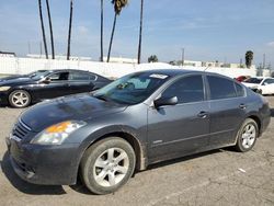 2009 Nissan Altima Hybrid en venta en Van Nuys, CA