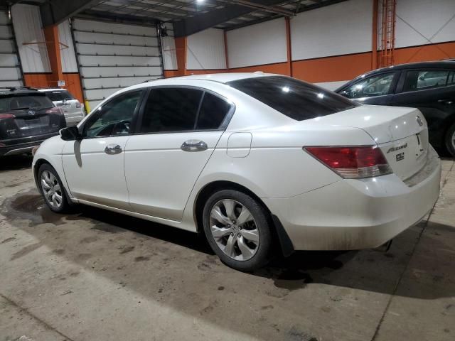 2008 Honda Accord EXL