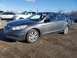 Honda Accord salvage cars for sale: 2011 Honda Accord EX