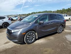 Honda salvage cars for sale: 2022 Honda Odyssey EXL