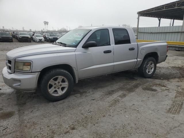 2011 Dodge Dakota SLT