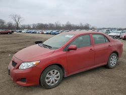 Toyota Corolla salvage cars for sale: 2009 Toyota Corolla Base