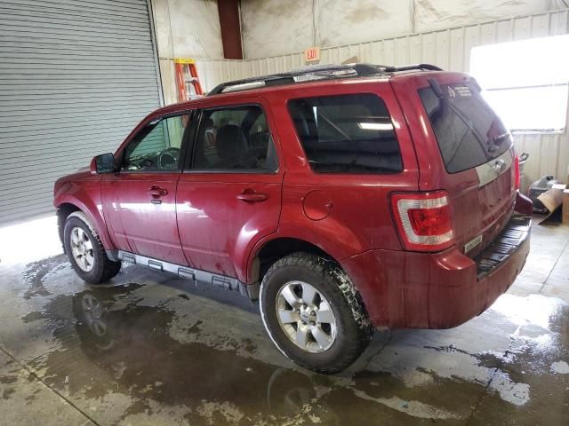 2012 Ford Escape Limited