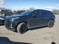 Cadillac xt5 salvage cars for sale: 2017 Cadillac XT5 Premium Luxury