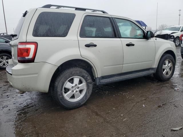 2009 Ford Escape XLT