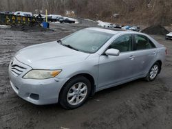 Toyota Camry Base salvage cars for sale: 2010 Toyota Camry Base