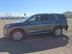 Hyundai Palisade Vehiculos salvage en venta: 2025 Hyundai Palisade SEL