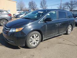 Honda Odyssey salvage cars for sale: 2016 Honda Odyssey SE