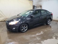 Ford Focus salvage cars for sale: 2013 Ford Focus SE