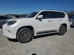 2023 Lexus GX 460 Luxury