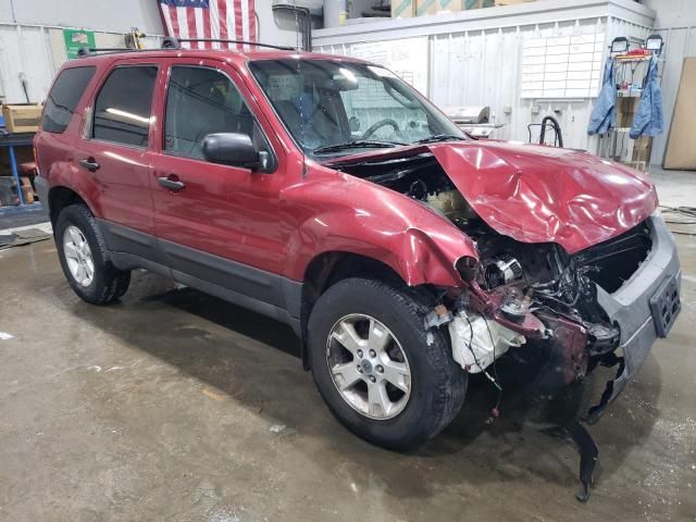 2005 Ford Escape XLT