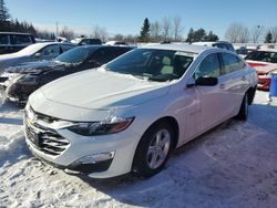 Salvage cars for sale from Copart Bowmanville, ON: 2019 Chevrolet Malibu LS