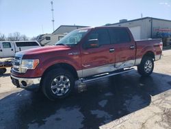 Ford f-150 salvage cars for sale: 2013 Ford F150 Supercrew