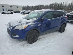 2013 Ford Escape SE en venta en Cookstown, ON