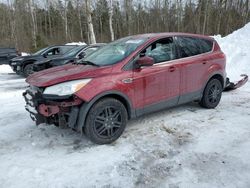 Ford salvage cars for sale: 2013 Ford Escape SE