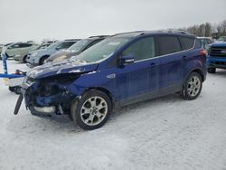 Ford Escape salvage cars for sale: 2014 Ford Escape Titanium