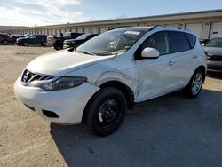 Nissan Murano salvage cars for sale: 2013 Nissan Murano S