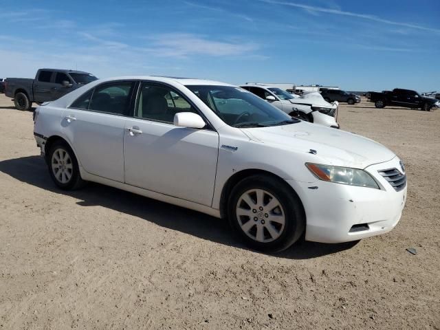 2008 Toyota Camry Hybrid