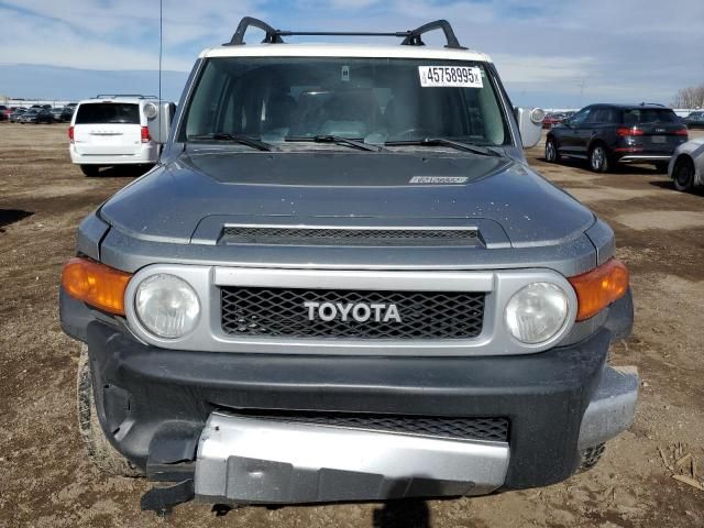 2010 Toyota FJ Cruiser