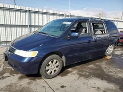 Salvage cars for sale from Copart Littleton, CO: 2003 Honda Odyssey EXL