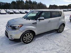 KIA Soul Vehiculos salvage en venta: 2017 KIA Soul +